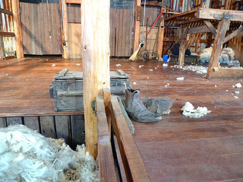 62 shearing shed.jpg